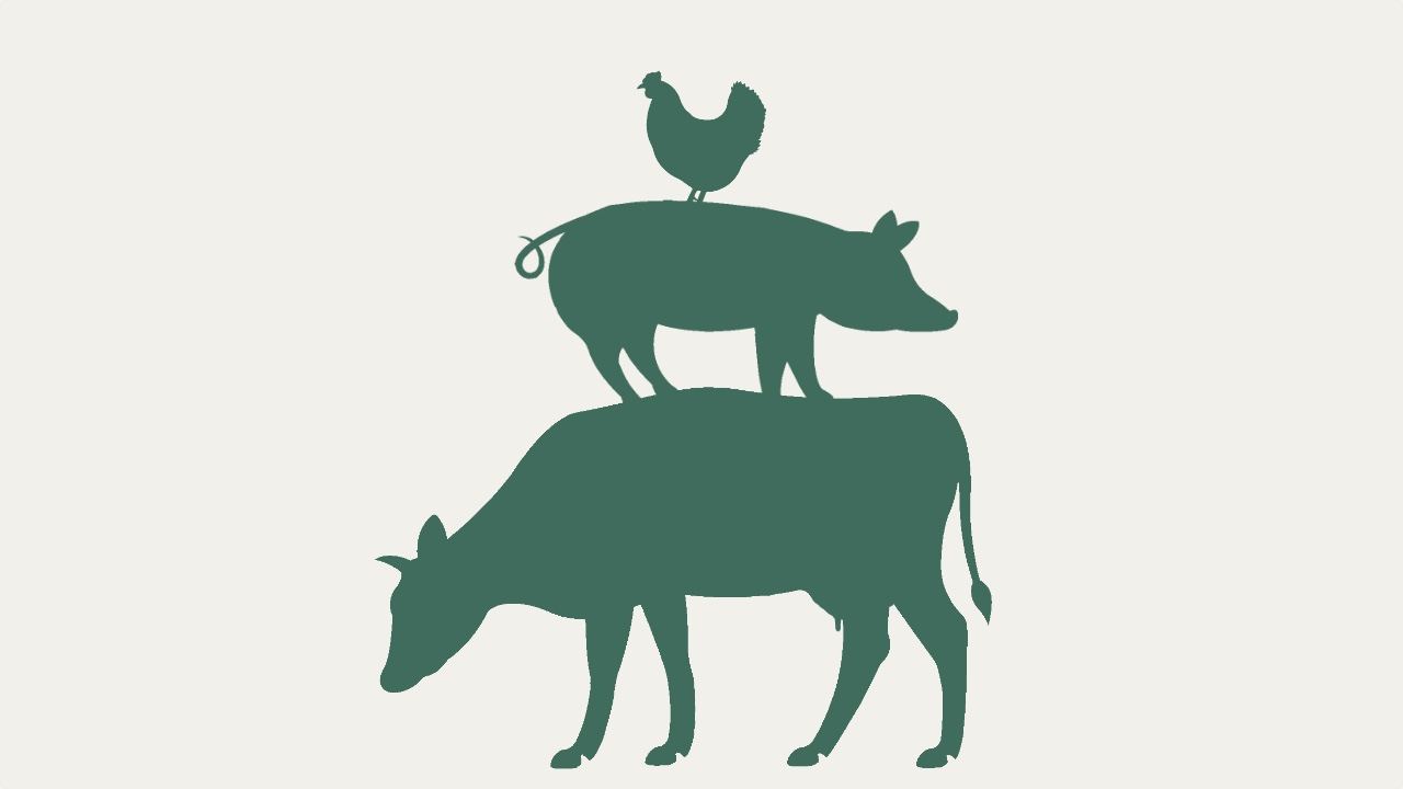 1/4 Beef Share | Grass Finished